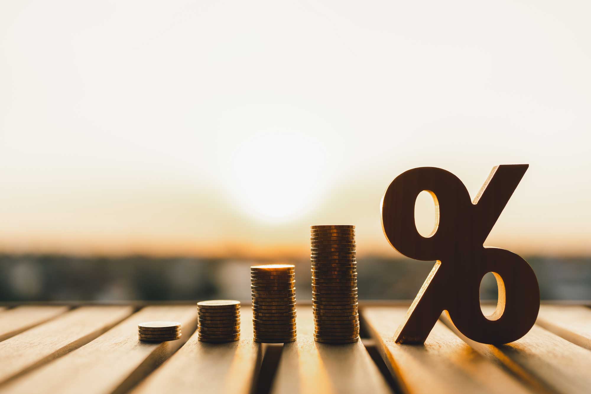 Comprehensive Investment Planning Management | ArisGarde